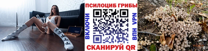 Галлюциногенные грибы Psilocybe  как найти закладки  Озёры 